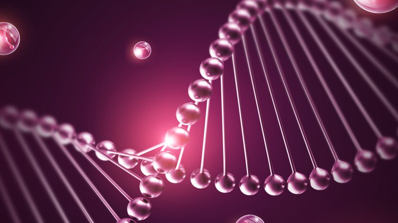 DNA连接酶失效原因解析：揭秘影响酶活性的关键因素
