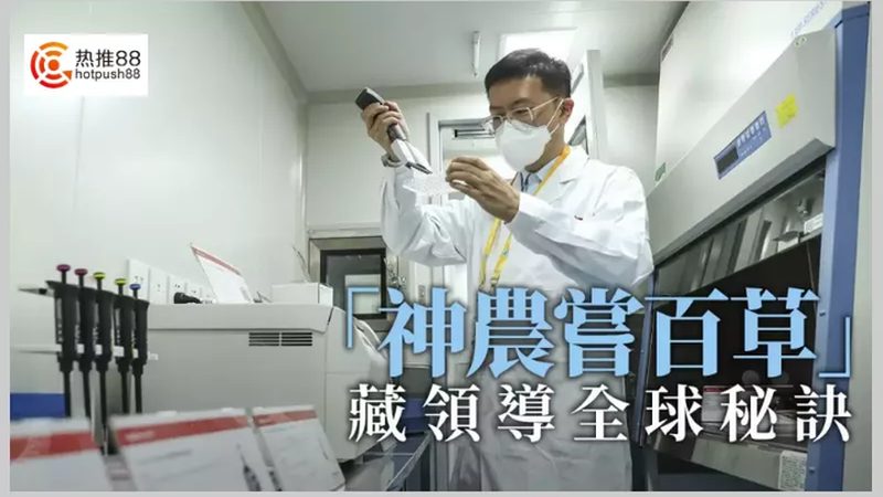 引物修饰：提升PCR反应效率的关键