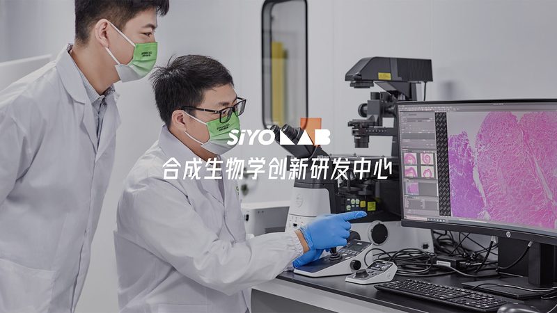 生物类似药CDMO开发总费用：揭秘成本构成与影响因素
