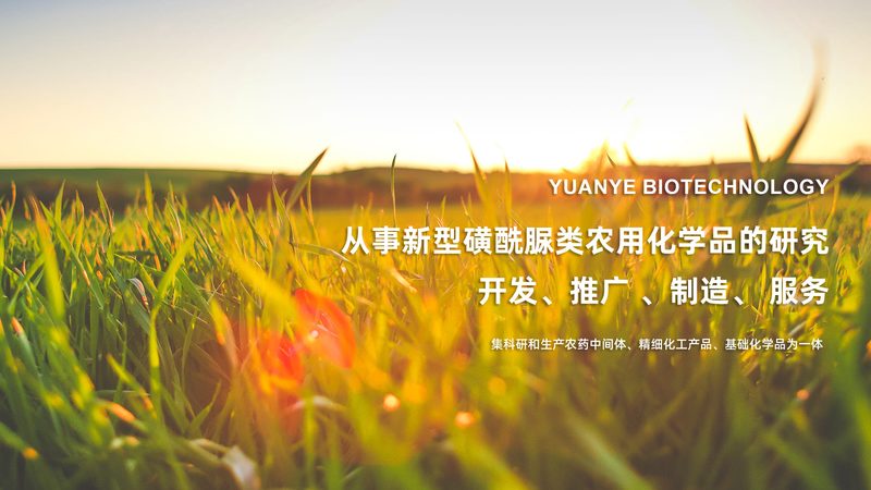 生物制品GMP认证：流程解析与关键要点**