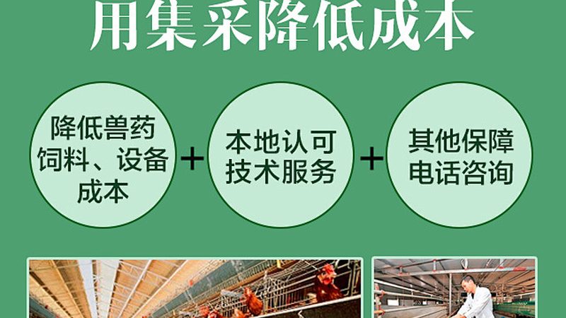 实验室资质等级分类：生物医药外包的隐形门槛