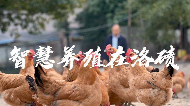 CRo工具生产厂家：揭秘医药研发背后的“隐形功臣