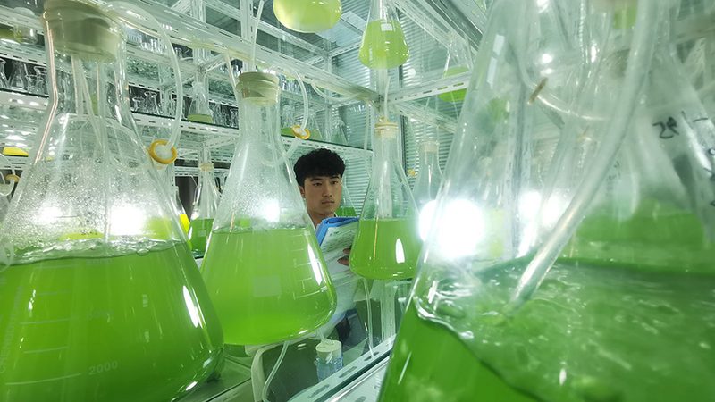 网站改版中，CRO服务与用户体验的权衡之道